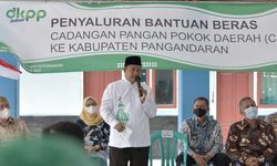 Khawatir Krisis Pangan, Wagub Jabar Minta Petani Tidak Alih Fungsikan Sawah