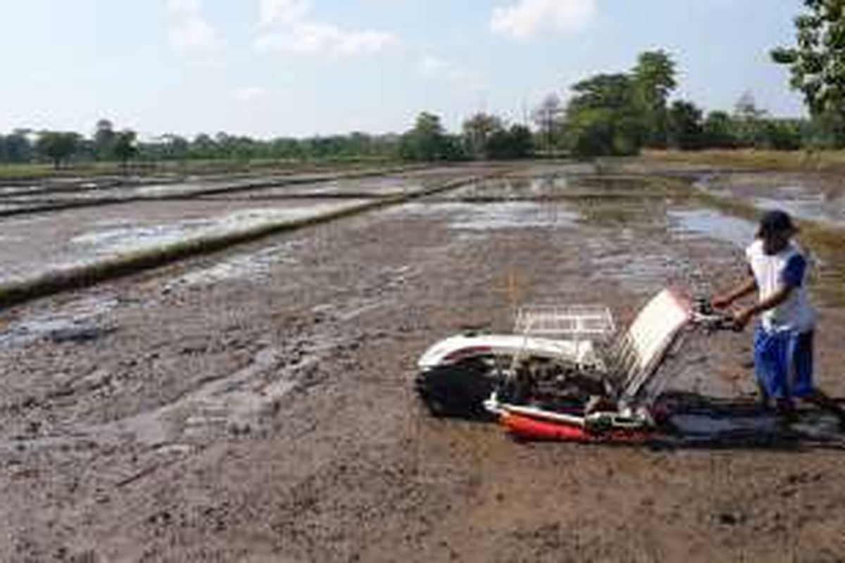 Seorang petani di Kelurahan Blandongan, Kecamatan Bugul Kidul, Kota Pasuruan, Jawa Timur belajar mengoperasikan transplanter atau alat penanam padi, Rabu (11/5/2016)