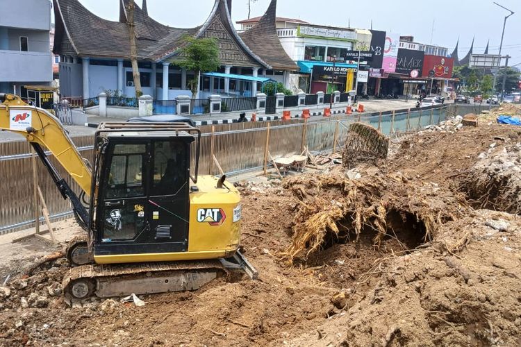 Pohon Berusia Setengah Abad Dekat Jam Gadang Bukittinggi Ditebang, Dijadikan Taman di Depan DPRD