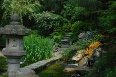  6 Jenis Tanaman yang Cocok untuk Zen Garden Ala Jepang