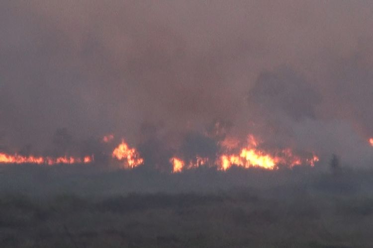 Suasana malam membuat api yang membakar lahan di sisi Jalan Tol Palindra semakin jelas terlihat, Selasa (25/9/2018). Sedikitnya 4 hektar lahan hangus dalam kebakaran hari ini di lokasi tersebut