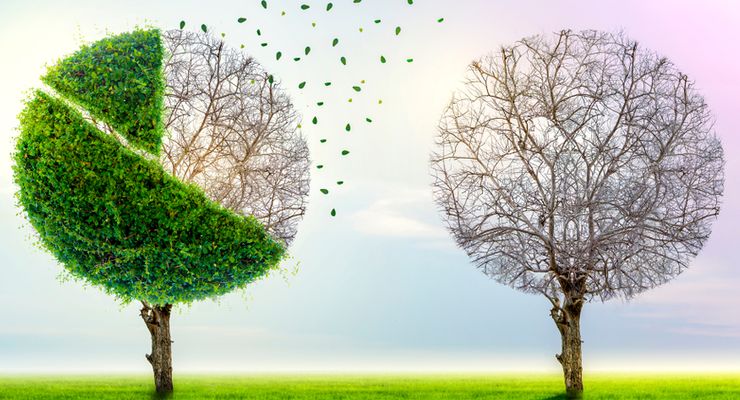 "Green Inflation" dan Ketahanan Energi Indonesia