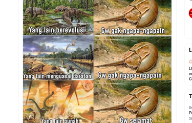 Muncul Lebih Dulu dari Dinosaurus, Kepiting Tapal Kuda Bertahan ...