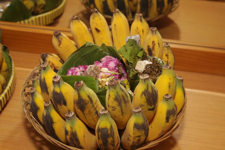 Ilustrasi pisang raja untuk hantaran pernikahan Jawa, biasa disebut dengan pisang sanggan. 