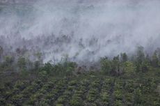 Jelang Kemarau, 752 Anggota Gapki Tetapkan Standar Penanganan Karhutla