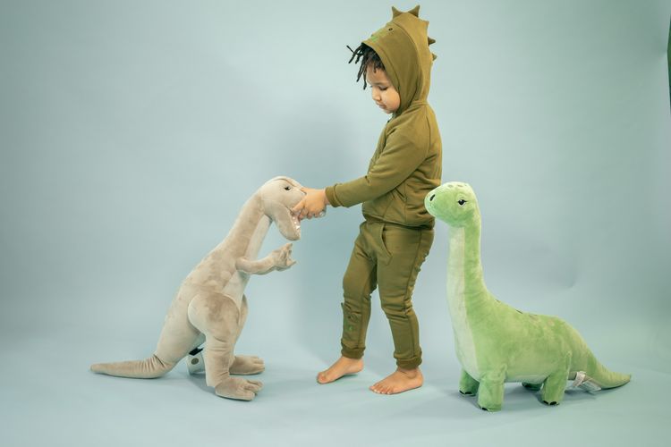 Peneliti menyatakan obsesi terhadap dinosaurus dapat memenuhi kebutuhan anak akan rasa ingin tahu dan penemuan. Ilmu terkait dinosaurus termasuk bentuk ilmu yang bisa dipahami dan diproses oleh otak anak.