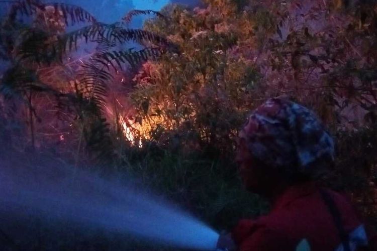 Kebakaran hutan di perbukitan sekitar Danau Toba, Kabupaten Karo, Sumatera Utara, Sabtu (27/7/2024).