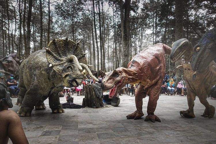 Para dinosaurus yang berinteraksi dengan wisatawan di tempat wisata di Magetan, Jawa Timur bernama Mojosemi Dinosaurus Park.