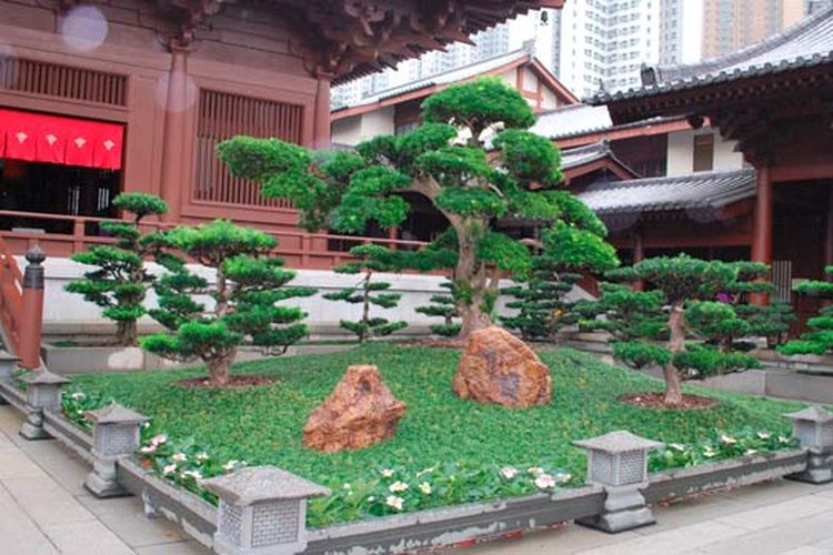 Sebuah taman bonsai di Chi Lin Nunnery, Wong Tai Sin, Hong Kong (dok. https://www.hongkong.net/).