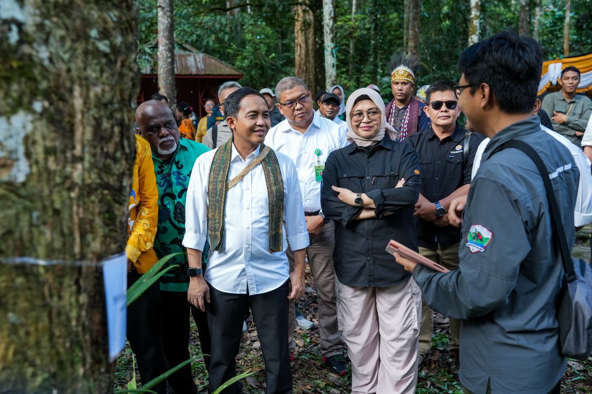 Menteri Kehutanan (Menhut) Raja Juli Antoni melepasliarkan satwa yang dilindungi di Sorong, Papua Barat. 