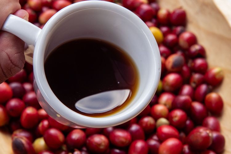 AI Mulai Masuk ke Dunia Roasting Kopi, Bisa Bantu Tentukan Profil Sangrai