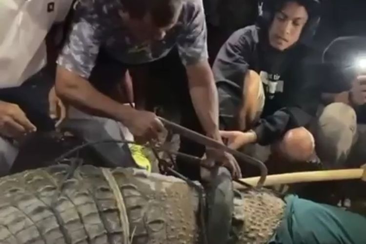 Tili, a 34-year resident of Sragen in Central Java, managed to free a four-meter-long crocodile tangled in a motorcycle tire for years in the Indonesian city of Palu, Central Sulawesi. 