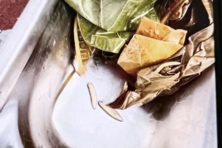 Due ekor ulat di menu MBG di Bangkalan 