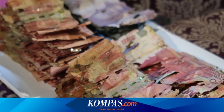 Viral Puluhan Juta Duit Tabungan Dimakan Rayap, Bisakah Ditukar ke BI? - Vimarsana News