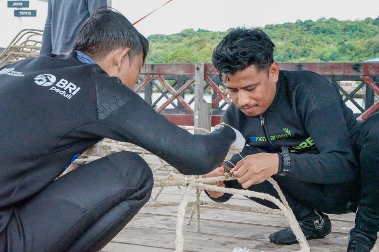 Program BRI Menanam-Grow and Green di Ujung Bulo, Pulau Karampuang, Kabupaten Mamuju, Provinsi Sulawesi Selatan (Sulsel) membantu menjaga eksistem laut dan mengembangkan potensi wisata sekitar. 