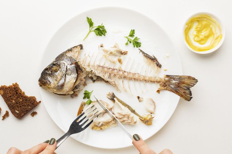 Ilustrasi makan ikan. Ikan yang perlu dihindari penderita kolesterol tinggi.