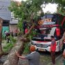Keropos, Pohon di Magetan Tumbang Timpa Bus yang Sedang Melaju