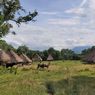 Kampung Tradisional Kawa di Nagekeo NTT, Disebut Mirip Wae Rebo