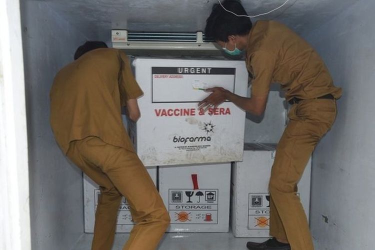 Petugas menggotong kardus vaksin Covid-19 untuk didistribusikan ke Kabupaten/Kota di Gudang Farmasi Dinkes Provinsi Banten, Serang, Selasa (12/1). Pemprov Banten memberi prioritas penyuntikan vaksin untuk petugas kesehatan di Kota Tangsel dan Kota Serang masing-masing 8.920 dosis dan 3.380 dosis.