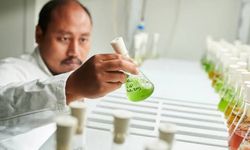 Kontribusi Capai NZE, Start-up Agritech Spiralife Optimalkan Potensi Mikroalga untuk Produk Kesehatan