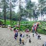 Sempat Tutup Imbas Insiden Jembatan Kaca Pecah, Hutan Pinus Limpakuwus Banyumas Buka Lagi Jumat 3 November 2023