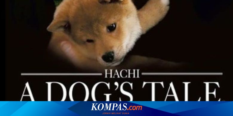 Bokep Dengan Anjing - 7 Film Mengharukan Persahabatan Anjing dan Manusia, Siap Banjir Air Mata  Halaman all - Kompas.com