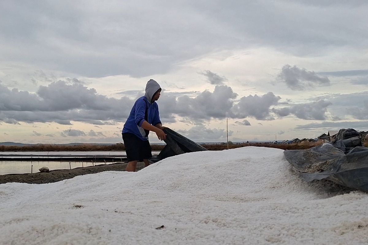 Petani menutupi hasil produksi garamnya dengan terpal untuk menghindari hujan. KKP optimistis 2027 bisa swasembada garam. Namun, kualitas dan cuaca masih menjadi tantangan.