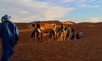 Apakah Gurun Sahara Bisa Menghijau Lagi Seperti Ribuan Tahun Lalu?