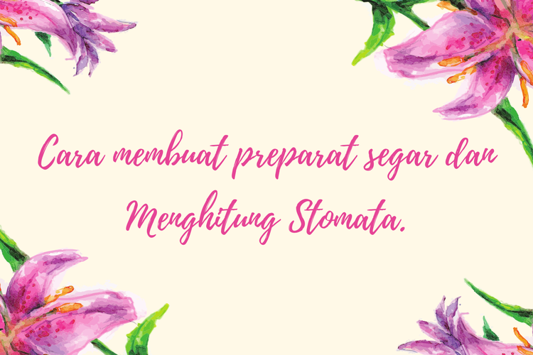 Cara Membuat Preparat Segar dan Menghitung Stomata
