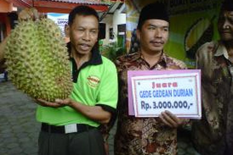 Yanto (kanan) bersama buah durian jumbo yang jadi juara I lomba gede-degan durian pada Festival Durian Candimulyo di Kabupaten Magelang, Jumat (20/3/2015).