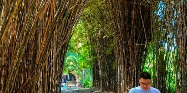Hutan Bambu Keputih, Surabaya