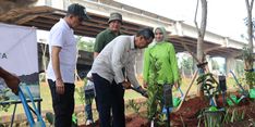 Distamhut DKI Jakarta Terus Menanam Pohon di RTH dan Jalur Hijau