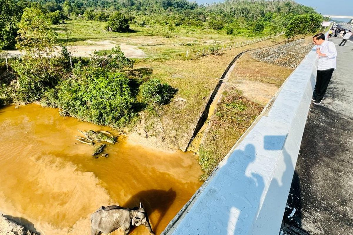 Presiden Joko Widodo melihat terowongan perlintasan gajah di Jalan Tol Pekanbaru-Dumai, Riau, Kamis (5/1/2023).