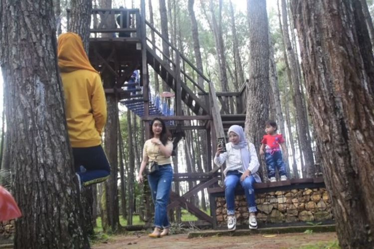 Setelah ditutup karena korona, Wisata Hutan Pinus Samparona yang berada di Kota Baubau, Sulawesi Tenggara,  kembali dibuka dengan penerapan new normal.
