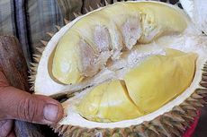 Penikmat Durian Punya Karakteristik Tersendiri, Anda yang Mana? 
