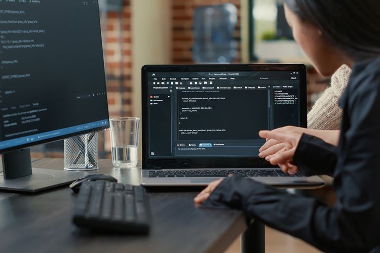 Tugas Software Engineer vs Programmer