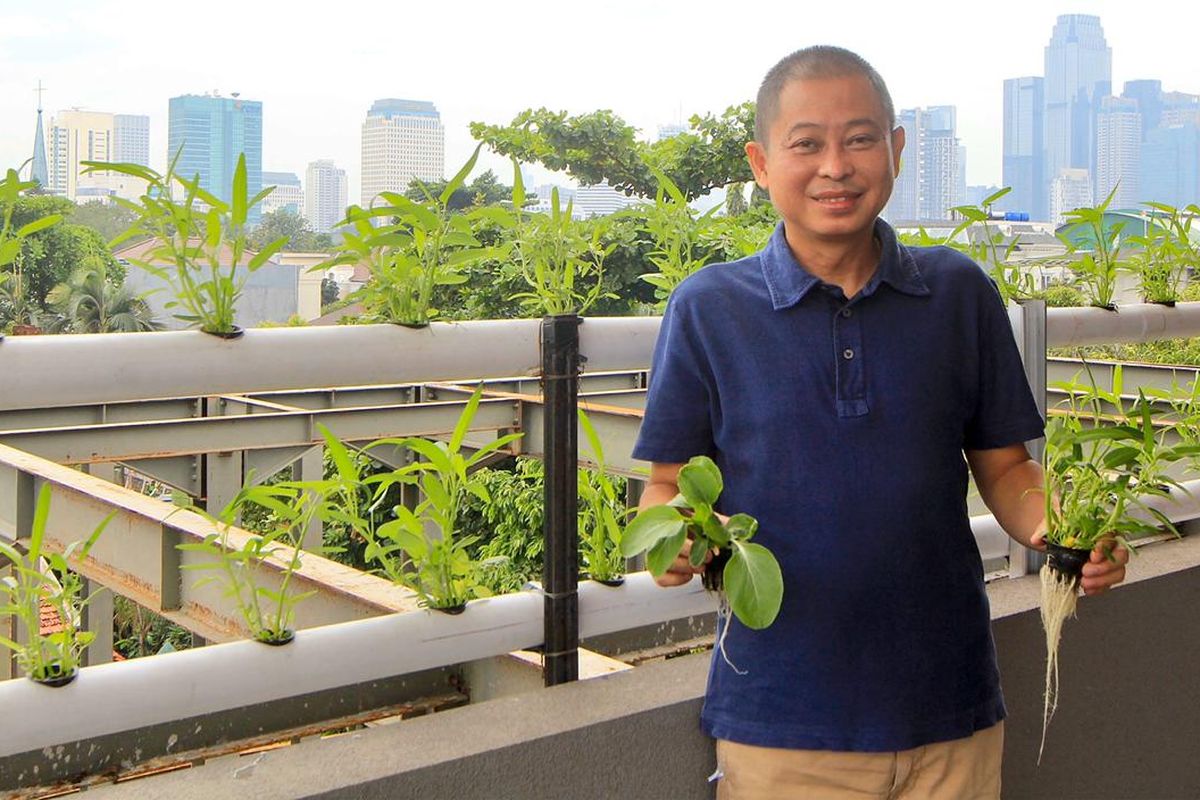 Ignasius Jonan di tengah kebun hidroponik miliknya