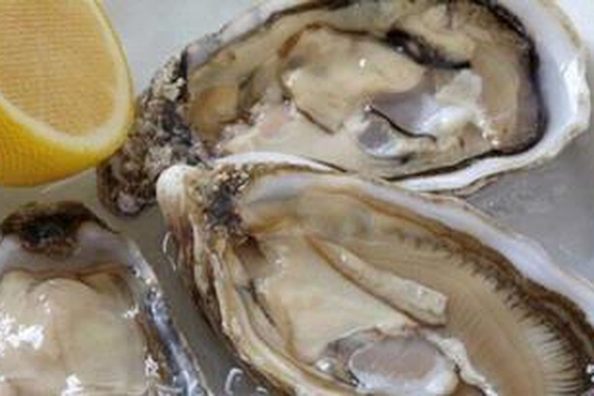 Tiram kaya akan mineral zinc.