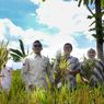 Panen Raya, Pimpinan DPRD Kota Bogor Turun ke Sawah Bersama Petani
