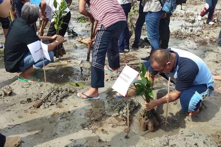 Penanaman bakau melibatkan tenaga kerja asing sektor pertimahan di Pantai Tapak Hantu, Bangka Tengah, Sabtu (19/1/2019).