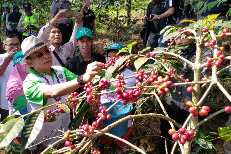 Kepala Staf Kepresidenan Moeldoko mengunjungi perkebunan kopi di kawasan Gunung Puntang, Desa Puntang, Kecamatan Cimaung, Kabupaten Bandung, Jawa Barat, Selasa (29/5/2018). 