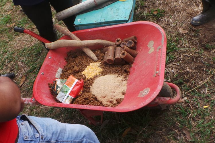 Puding gajah di kamp RAPP, Pelalawan, Riau, terdiri dari adonan masak gula merah, dedak, ubi kayu, serta satu hingga dua blok mineral sebesar bata.