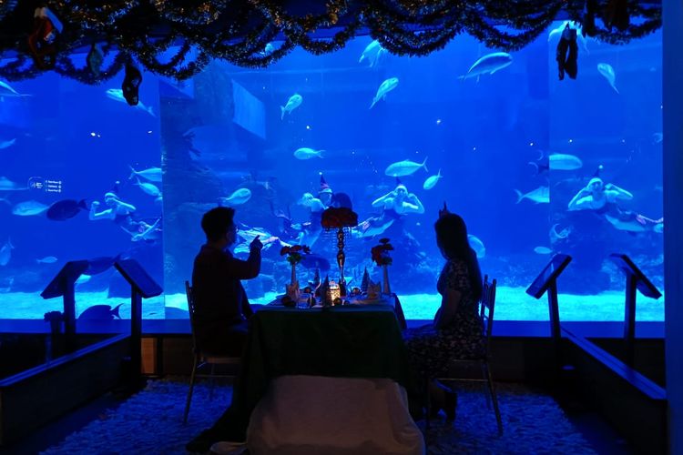 Private dinner berlatar belakang akuarium di Jakarta Aquarium & Safari, Jakarta Barat.