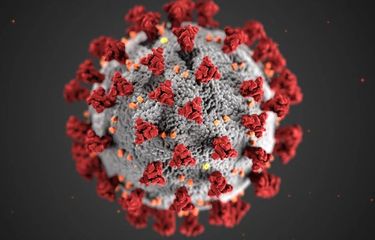 Alissa Eckert dan Dan Higgins, ilustrator dari Centers for Disease Control and Prevention, diminta untuk membuat ilustrasi virus corona yang mampu menarik perhatian publik.(the new york times)