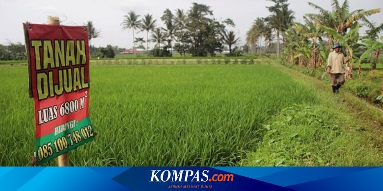 Terus Turun Pangsa Pertanian Terhadap Perekonomian Nasional