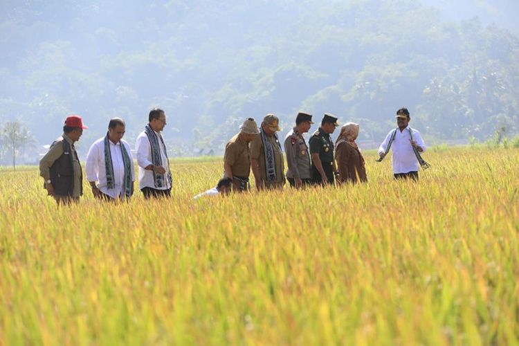 Ditjen PSP Kementan serahkan bantuan untuk petani di Lombok Barat.