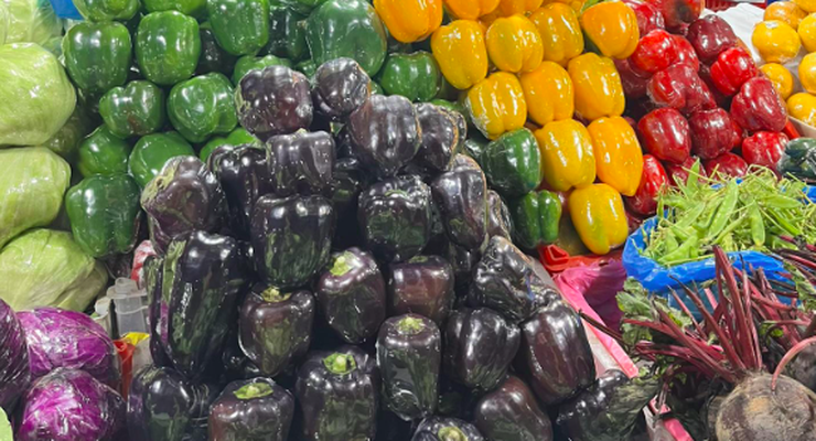 Viral Video Gen Z Jualan Sayur Unik, Ada Romaine hingga Daun Kale