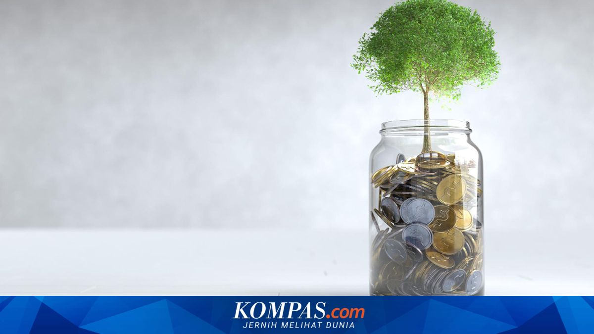 Kemenkeu: Perubahan Iklim Tak Lagi Sekadar Isu Lingkungan, Kini Pengaruhi Investasi