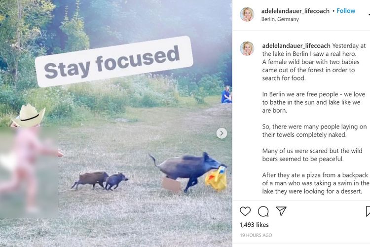 Tangkapan layar dari unggahan Instagram Adele Landauer, yang memperlihatkan turis di danau Teufelssee, Berlin, berlari telanjang mengejar babi hutan yang mencuri laptopnya.