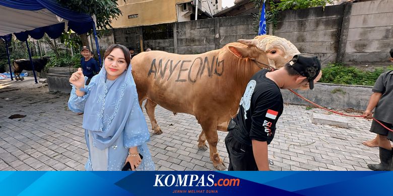 Zita Anjani Berkurban Dua Sapi di Cipinang, Beri Nama Anyeong dan Haseyo